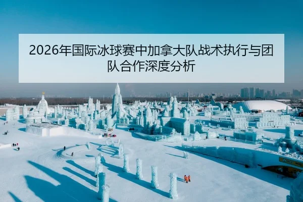 2026年国际冰球赛中加拿大队战术执行与团队合作深度分析